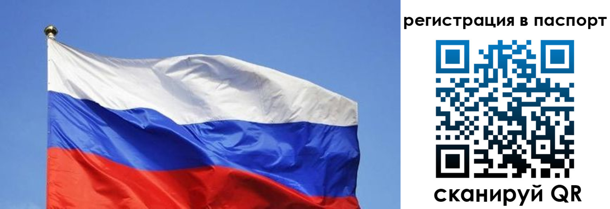 прописка в квартире в Ртищево